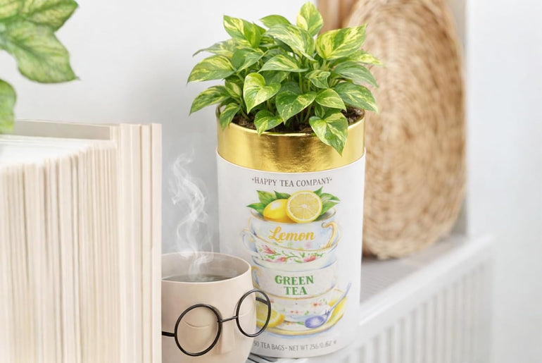 Happy Tea Company Lemon Green Tea
