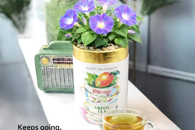 Happy Tea Company Mango Green Tea