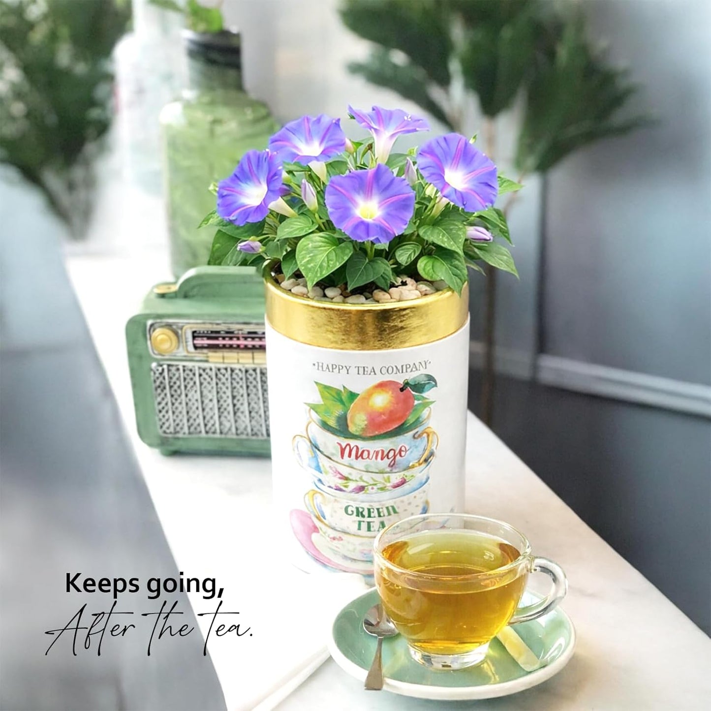 Happy Tea Company Mango Green Tea