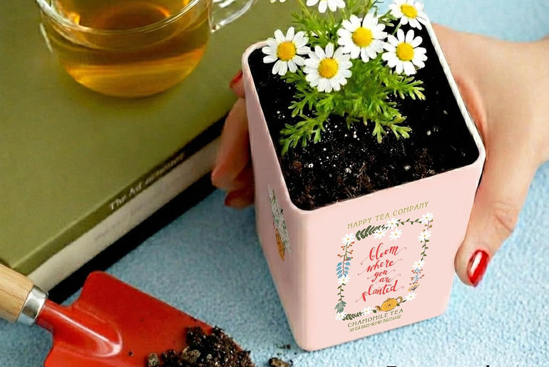 Happy Tea Company Chamomile Herbal Tea