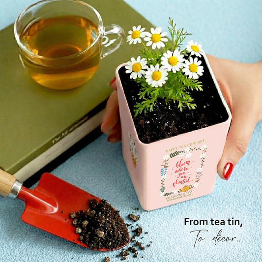 Happy Tea Company Chamomile Herbal Tea