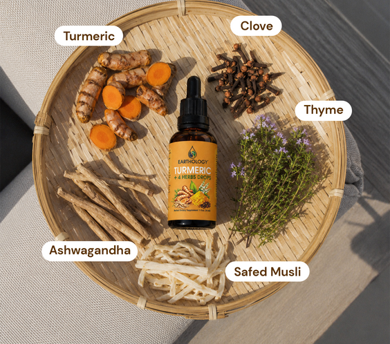Earthology Turmeric + 4 Herbs Drops